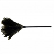 34733 - ESPANADOR PENA 60 DUSTER 171