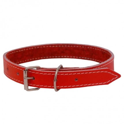 COLEIRA P/CAO COURO FOR.VM C/12 N.08 ALT