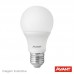 LAMPADA LED AVANT 09W A60BR 6500K 810L