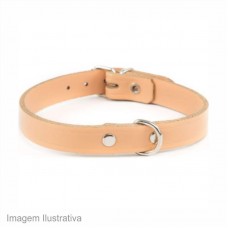 29817 - COLEIRA P/CAO CESCOL AM N.00 C/06