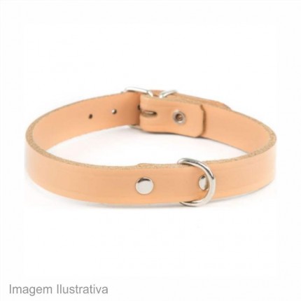 COLEIRA P/CAO CESCOL AM N.00 C/06