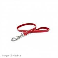 36241 - GUIA P/CAO COURO FORRADO N.02 NAPOLI