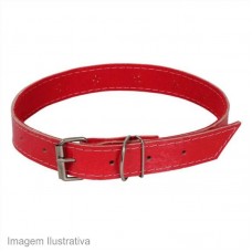 39991 - COLEIRA P/CAO COURO TOYS C/06 N.01 MES