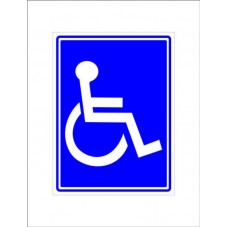 28982 - PLACA SIN.PVC 15X20(DEFI.FIS.SIMBOLO)742