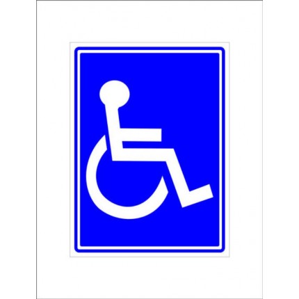 PLACA SIN.PVC 15X20(DEFI.FIS.SIMBOLO)742