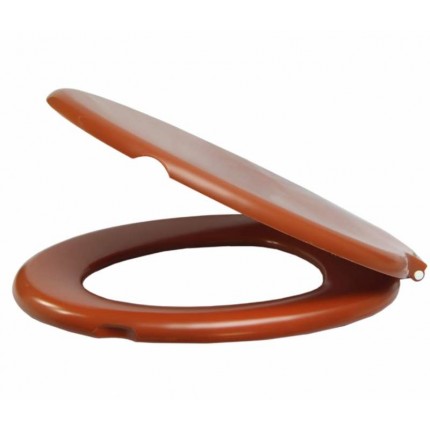 ASSENTO SANIT.ALUMAS.ALMOF(FLOREN)CARAM