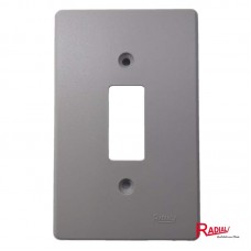 37451 - RADIAL PLACA 4X2 CINZA (1TECLA)1701004