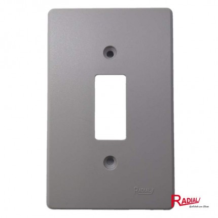 RADIAL PLACA 4X2 CINZA (1TECLA)1701004