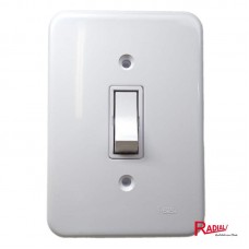 38262 - RADIAL POLLAR 1 INT.PARAL.C/PL BR 1005