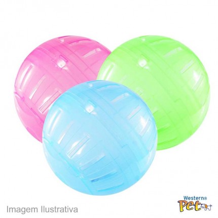 PET-176 BOLA DE EXERCICIOS 17,2CM WESTER