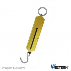 36514 - BALANCA PEIXEIRO 100KG WESTERN FS100 OUR