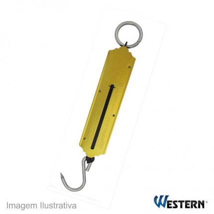 BALANCA PEIXEIRO 100KG WESTERN FS100 OUR