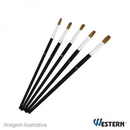 KIT C/05 PINCEIS WESTERN P-25(ARTIST)