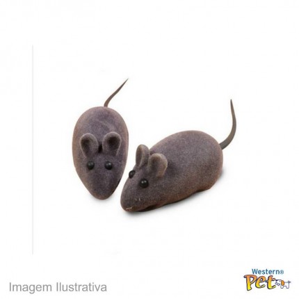 PET-71 RATINHO C/APITO WESTERN UNID.